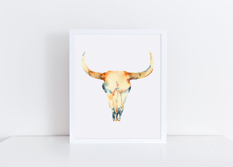 Cow Skull