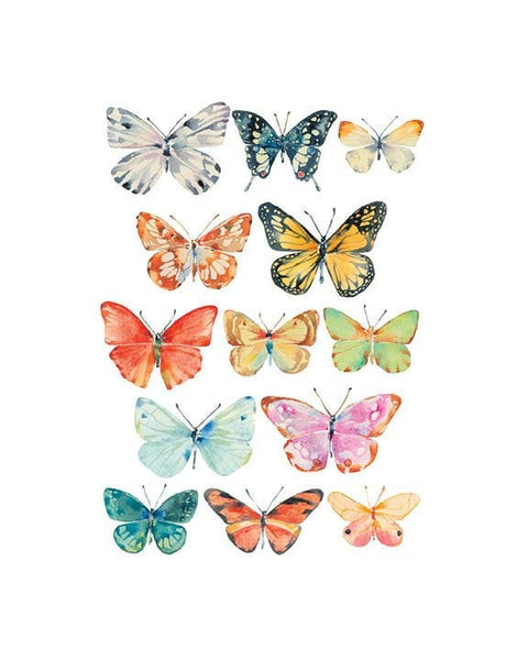 Small Butterflies