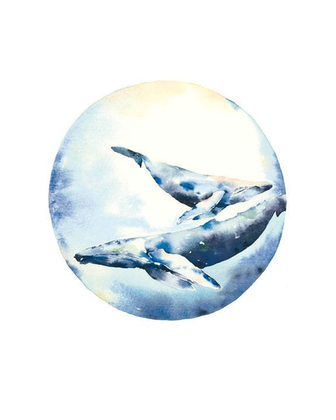 Mama And Baby Whale