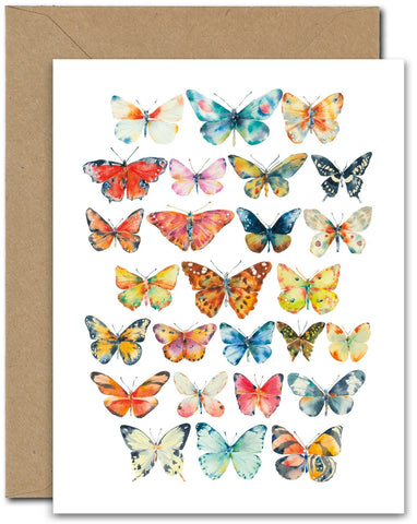 Large Butterflies