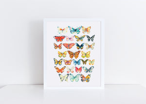 Large Butterflies