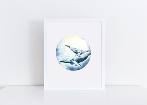 Mama And Baby Whale