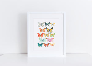 Small Butterflies